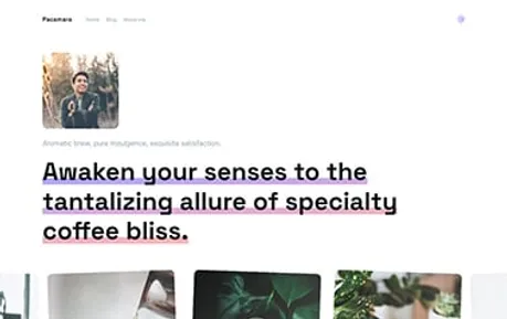 Pacamara - Beautiful free Tailwind CSS Astro blog template that stores content in Markdown (MD/MDX) files.