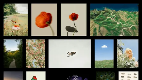 Astro Photo Grid - A minimal, single-page photo gallery astro & tailwind css theme.
